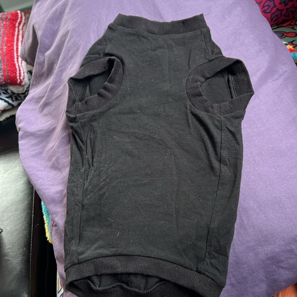 Small, Black, Skeleton for Small Dog - Picture 4 of 4